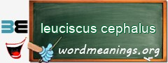 WordMeaning blackboard for leuciscus cephalus